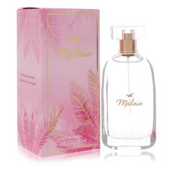 Hollister Malaia Eau De Parfum Spray By Hollister